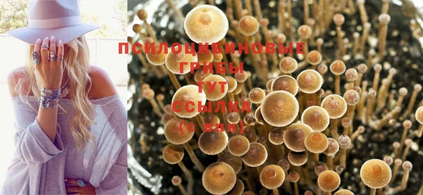 ешки Лиски