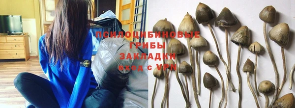 ешки Лиски